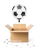Fu&szlig;ball 3D