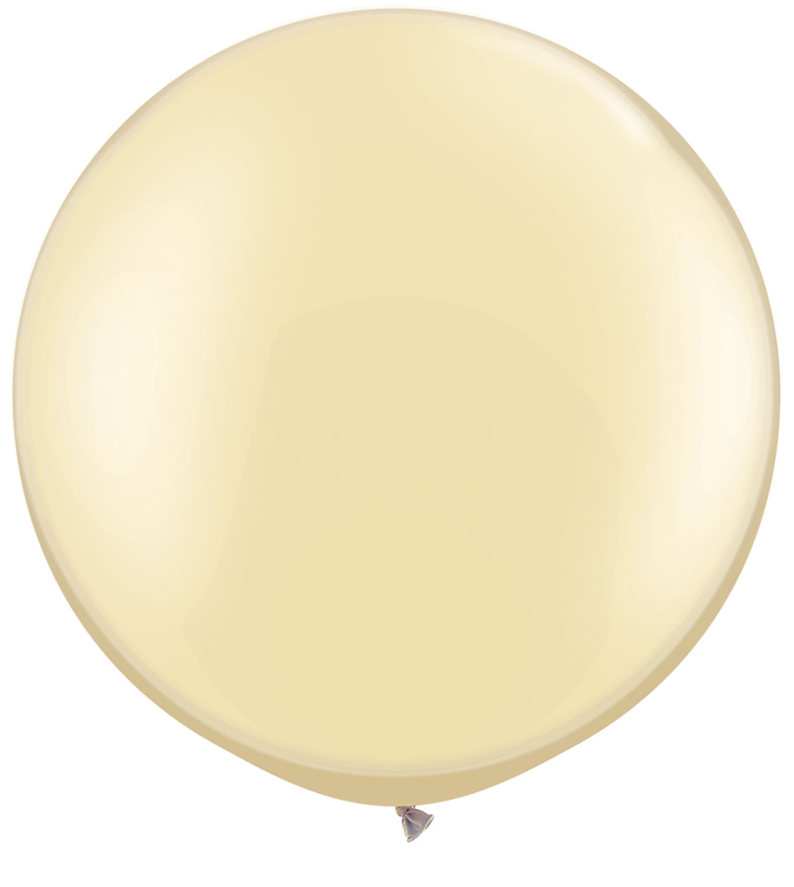 Giant Pearl Ivory