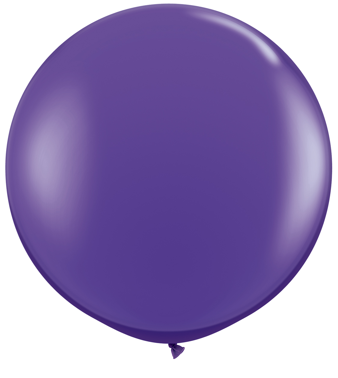 Giant Purple Violet