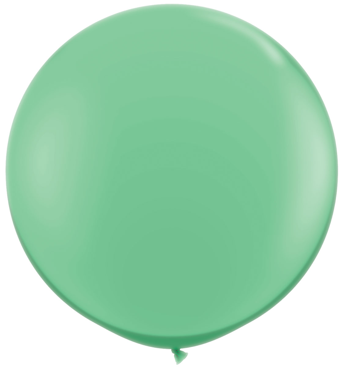 Giant Wintergreen